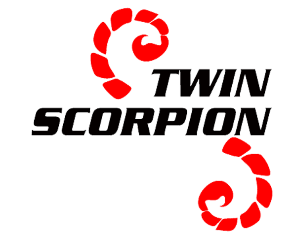 twin-scorpion.com